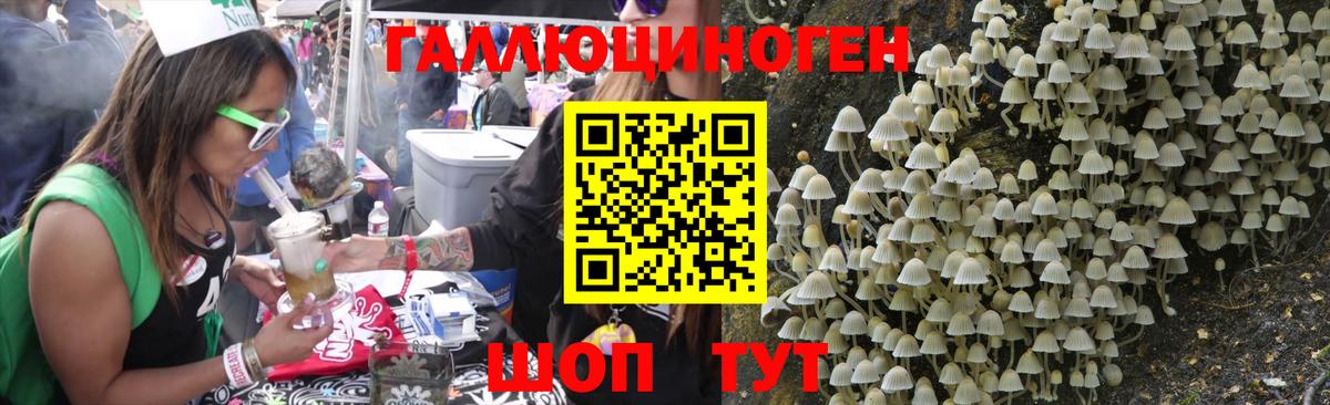 Псилоцибиновые грибы Magic Shrooms  Вход с VPN  Губкинский 